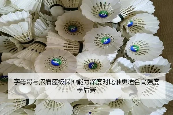 字母哥与浓眉篮板保护能力深度对比谁更适合高强度季后赛