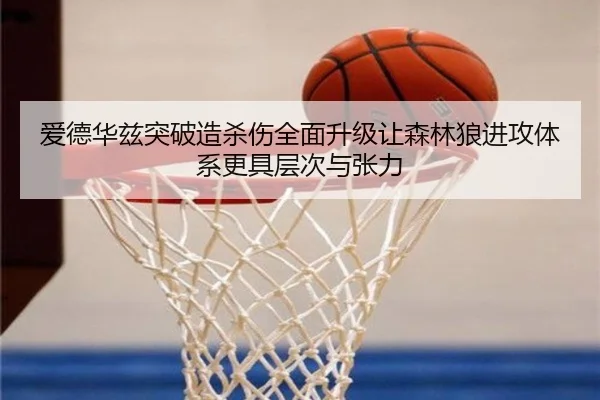 爱德华兹突破造杀伤全面升级让森林狼进攻体系更具层次与张力